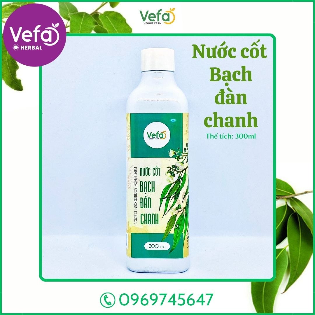 Nước cốt bạch đàn chanh