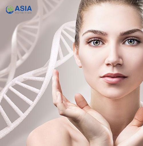 Collagen là gì? Có mấy loại collagen? Tác dụng của collagen đến cơ thể