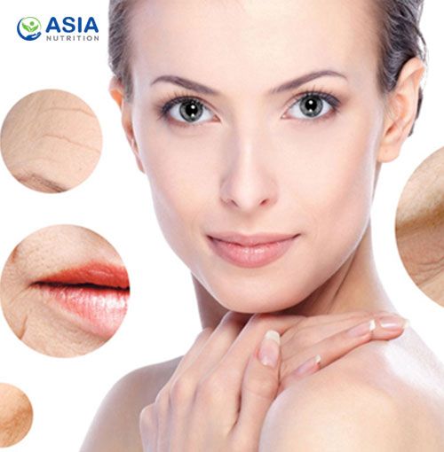 Chuyên gia chỉ ra tác dụng của collagen đối với cơ thể và vai trò làm đẹp