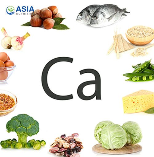 Top 12 thực phẩm giàu canxi dưỡng chất giúp hệ xương cứng chắc