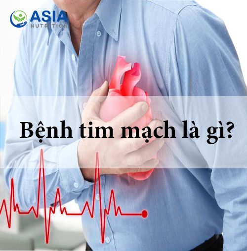 Bệnh tim mạch là gì, nguyên nhân, dấu hiệu nhận biết và cách phòng tránh