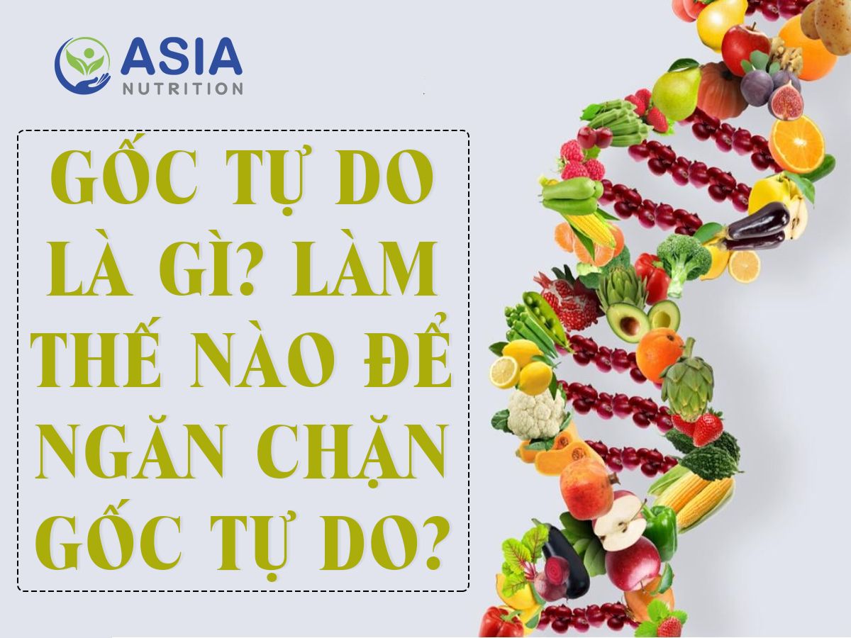 GỐC TỰ DO LÀ GÌ? LÀM THẾ NÀO ĐỂ NGĂN CHẶN GỐC TỰ DO?