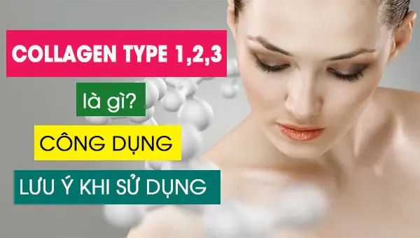 COLLAGEN TYPE 1,2,3 LÀ GÌ? TÁC DỤNG VÀ CÁCH SỬ DỤNG