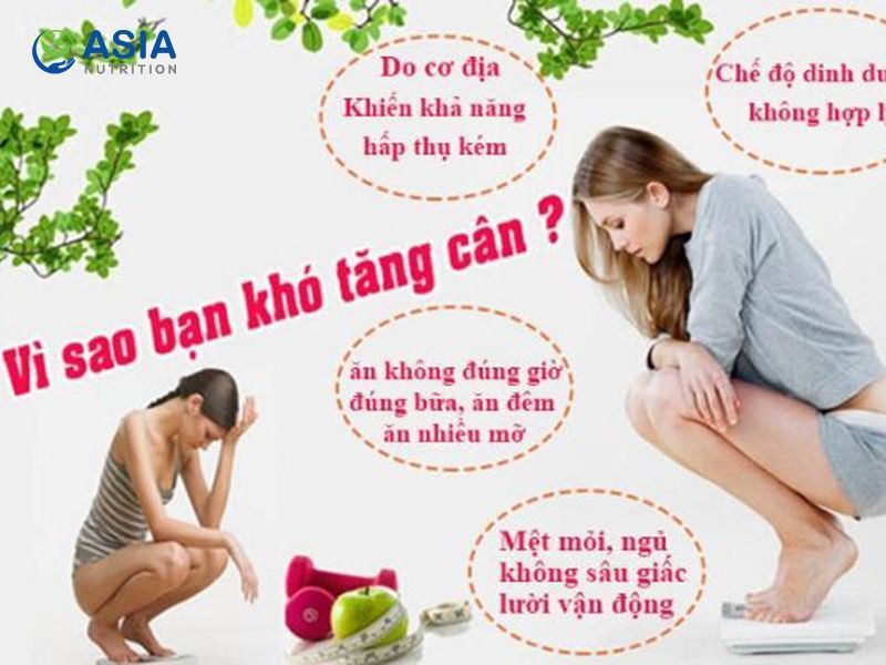 Những thủ phạm hàng đầu khiến bạn khó tăng cân