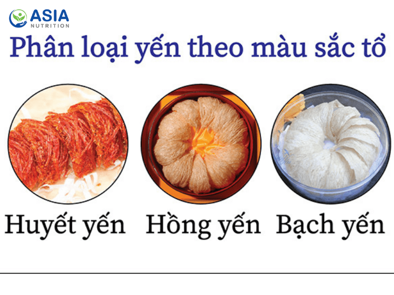 Phân loại tổ yến theo màu sắc