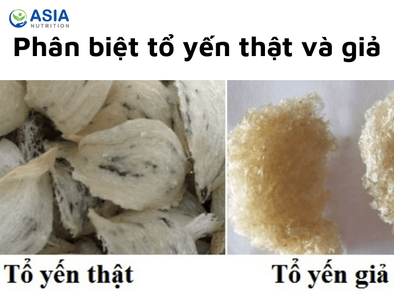 Phân biệt tổ yến thật và giả