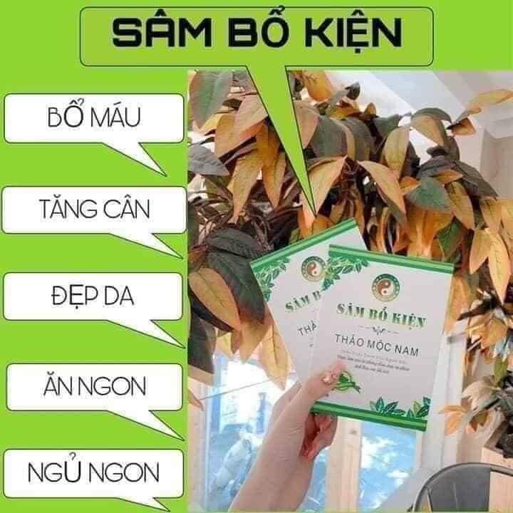 Sâm Bổ Kiện Thảo Mộc Nam