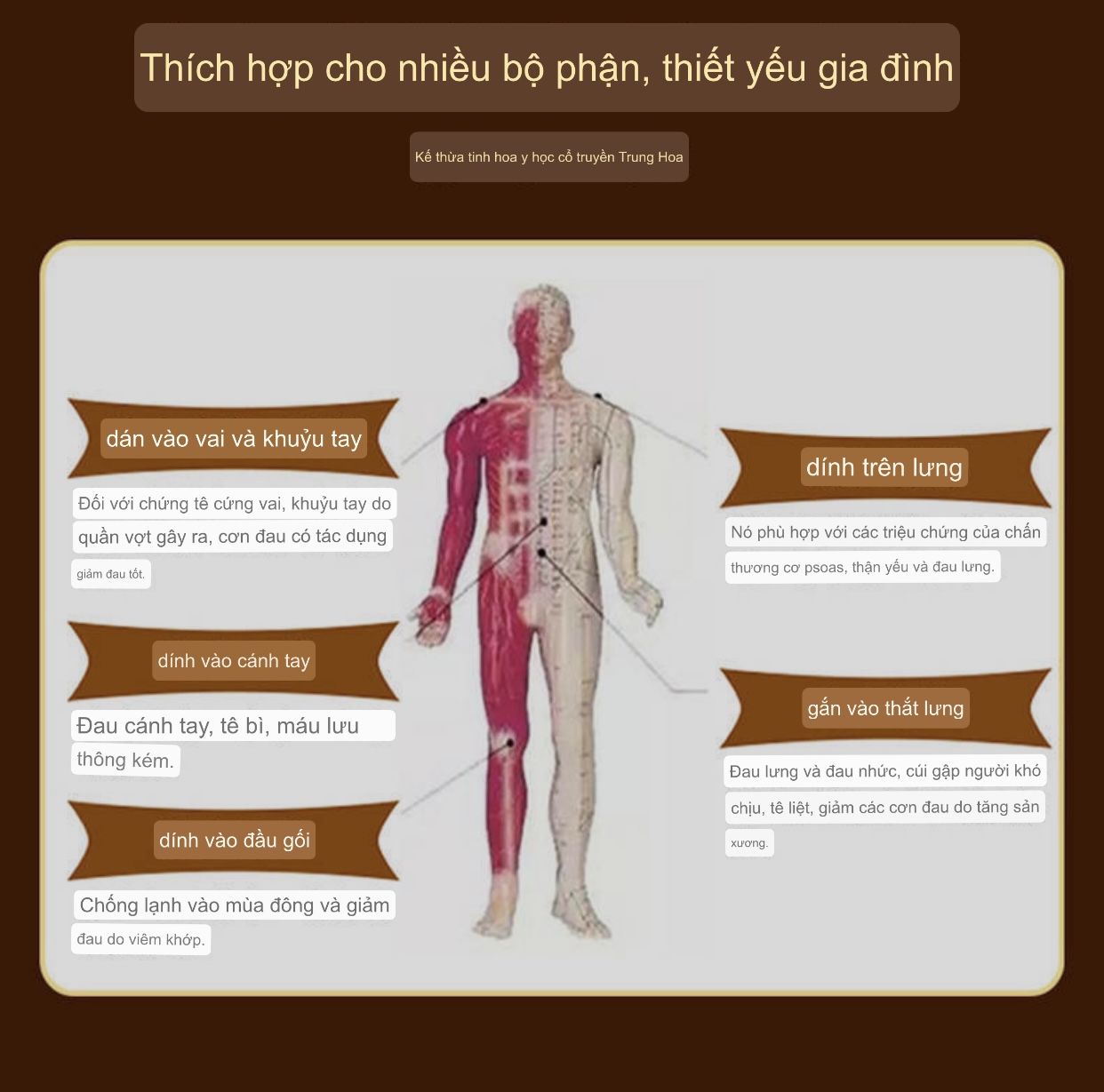 Miếng Dán Gừng Thảo Dược