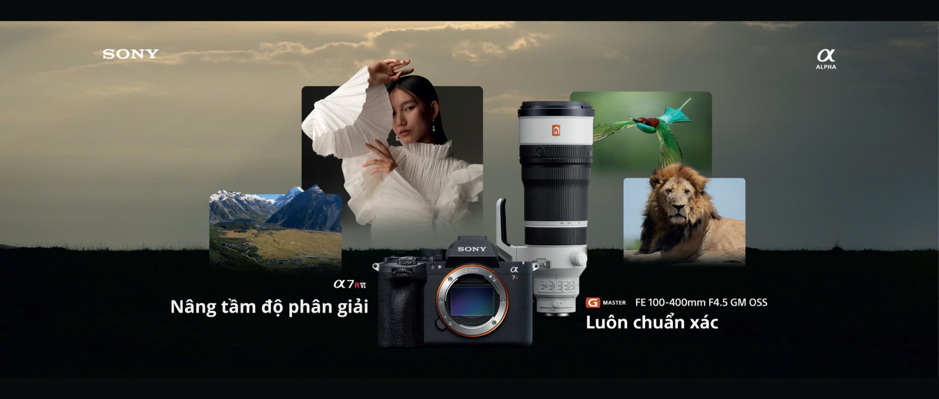 Sony Alpha A7RVI