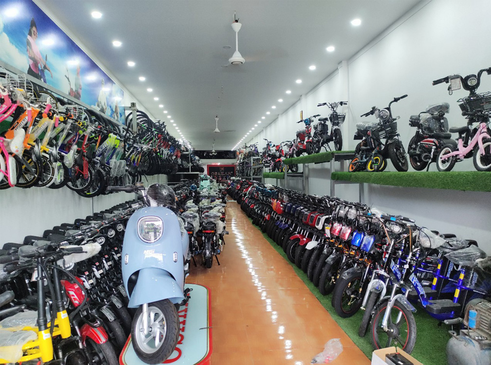 Xe đạp điện
