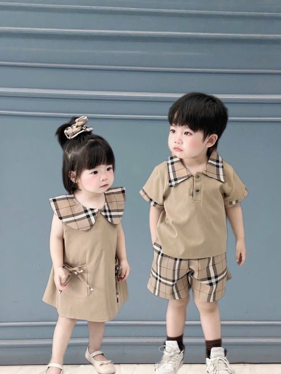 C318 - BỘ BT BG NÂU PHỐI KẺ