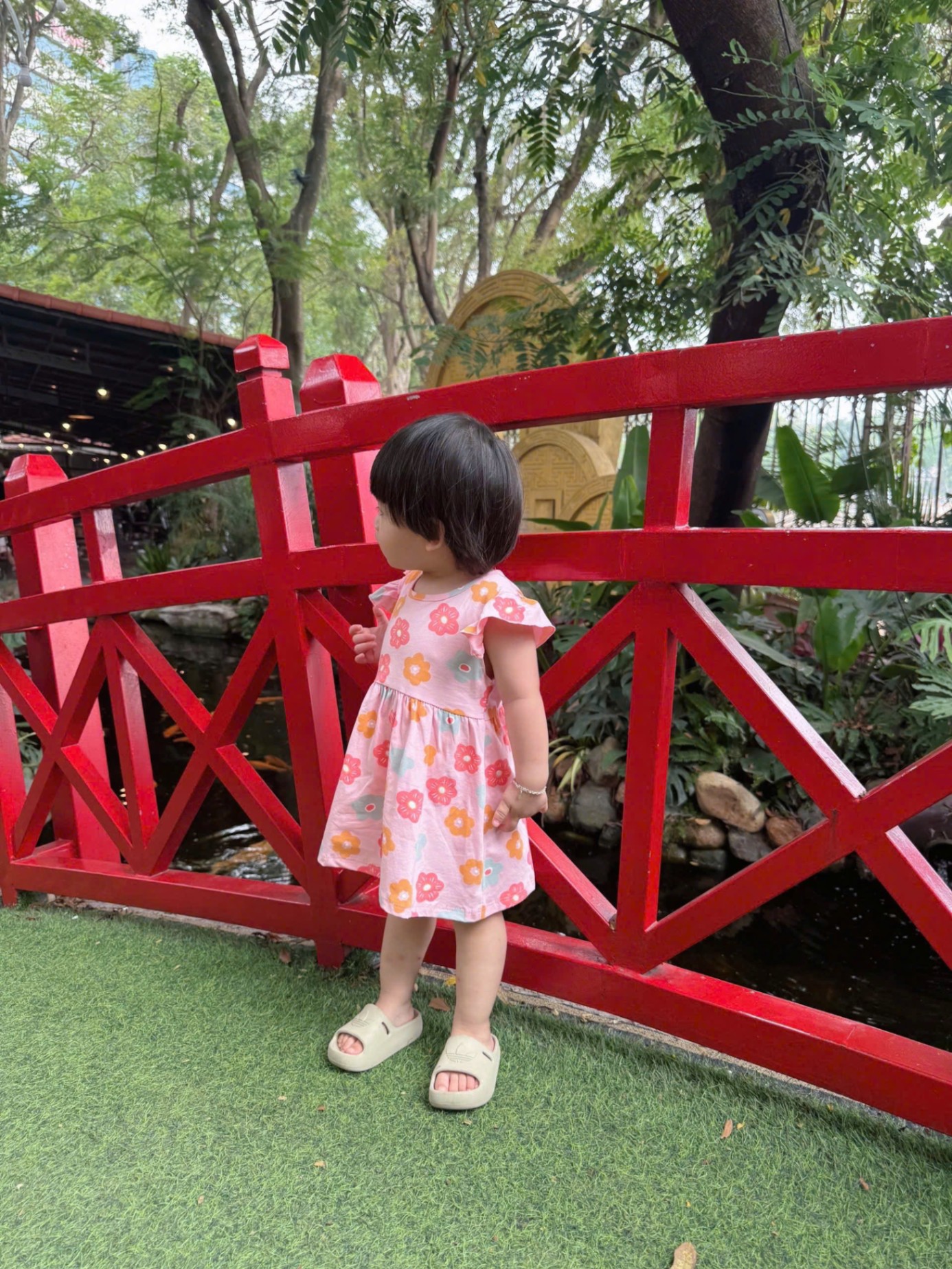 C418 - SET 2 VÁY HOA BƯỚM VÀNG HỒNG