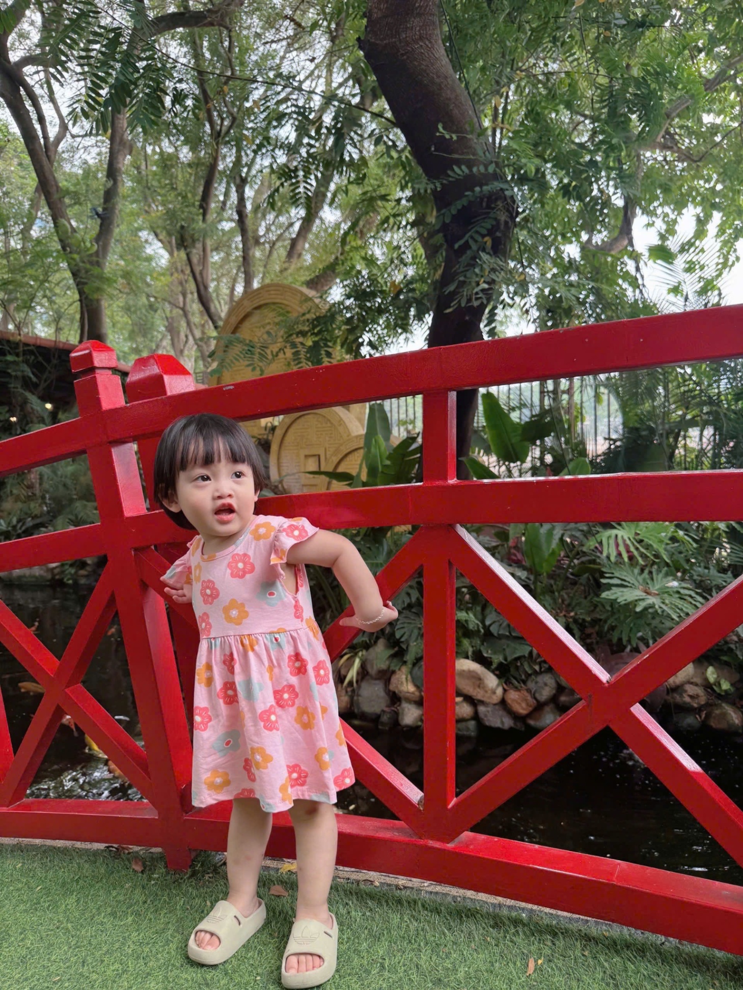 C418 - SET 2 VÁY HOA BƯỚM VÀNG HỒNG