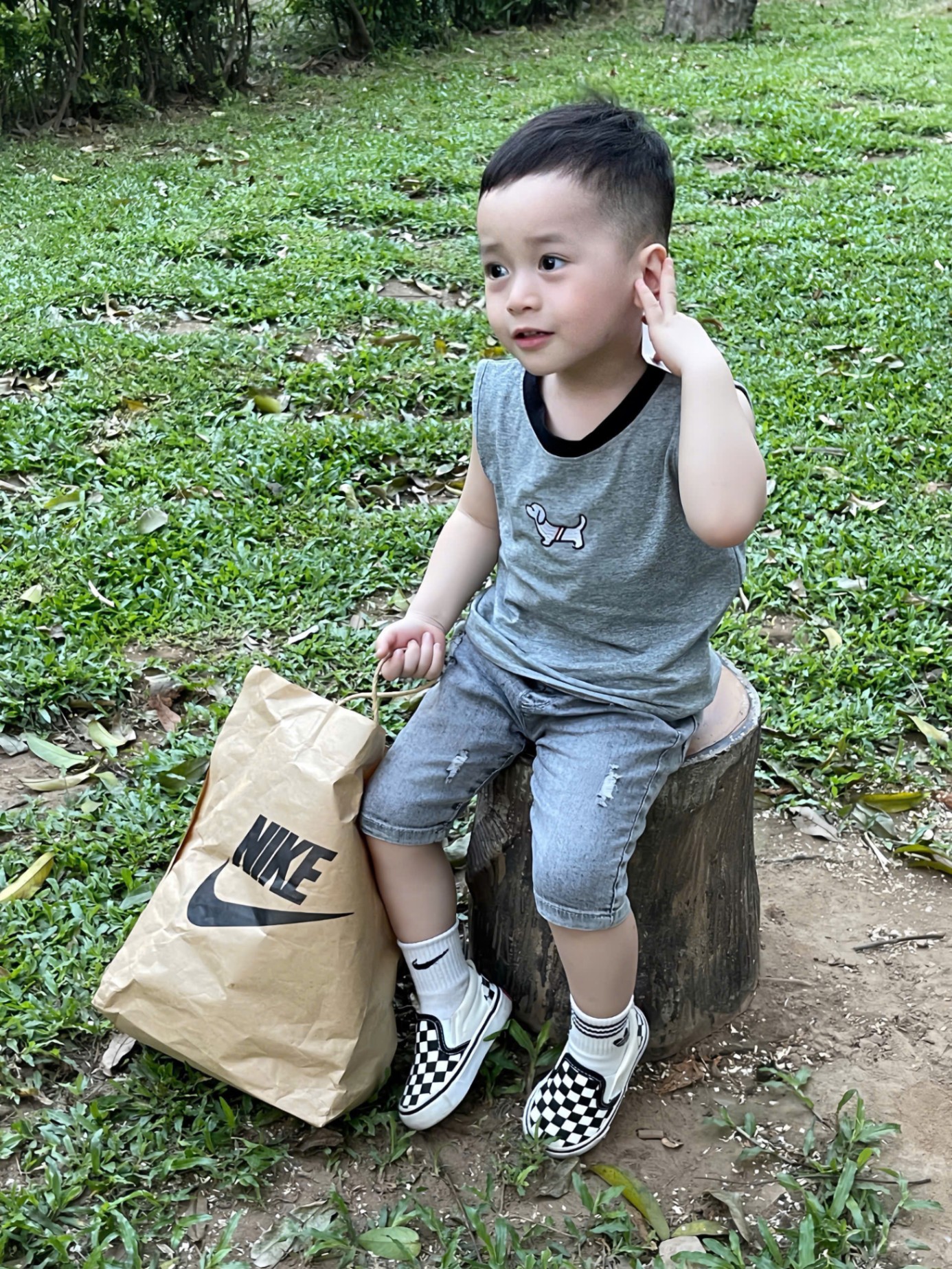 A726 - SET ÁO BA LỖ CHÓ TOMMY XANH XÁM TRẮNG