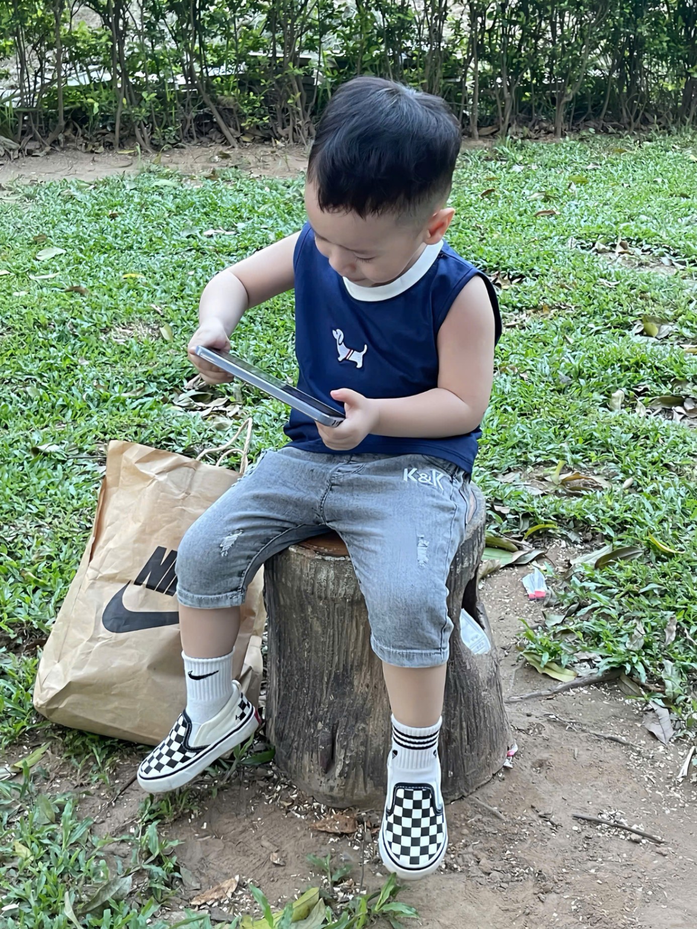 A726 - SET ÁO BA LỖ CHÓ TOMMY XANH XÁM TRẮNG