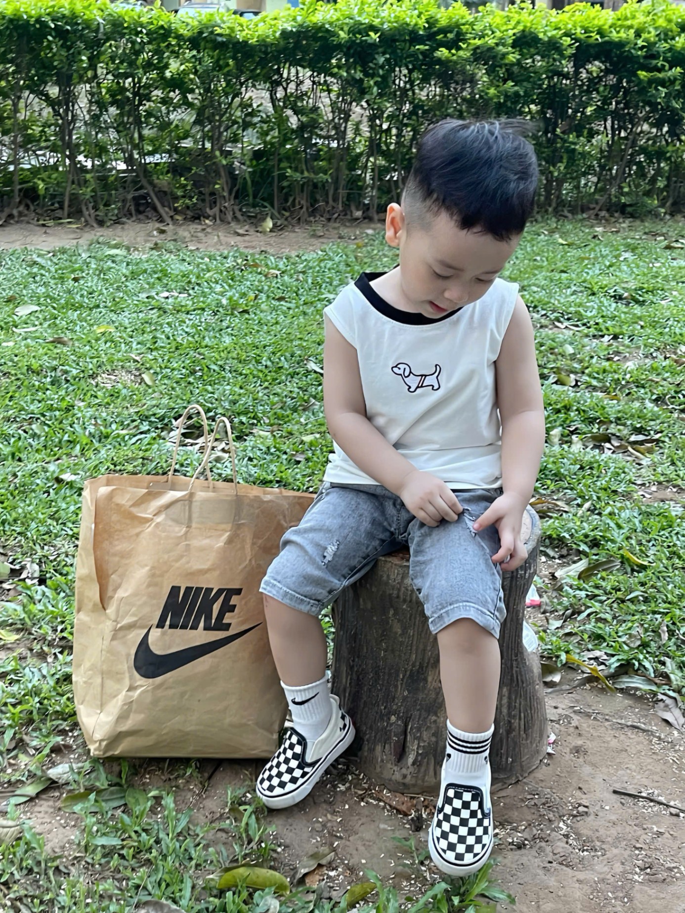 A726 - SET ÁO BA LỖ CHÓ TOMMY XANH XÁM TRẮNG