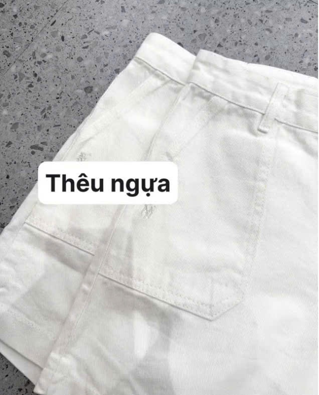 A585 - QUẦN TRẮNG TÚI THÊU NGỰA