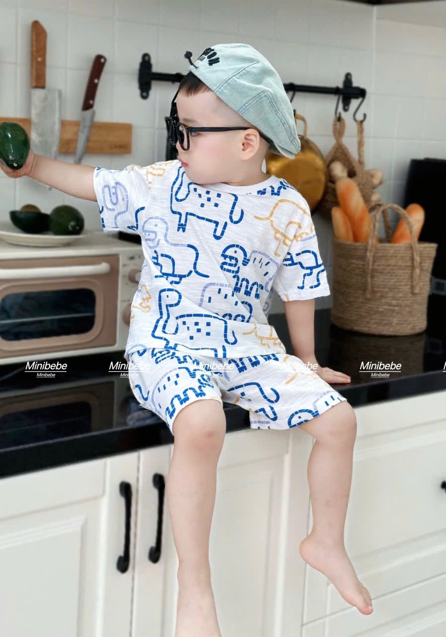B955 - SET 2 BỘ KHỦNG LONG XƯỚC XANH GHI SÁNG