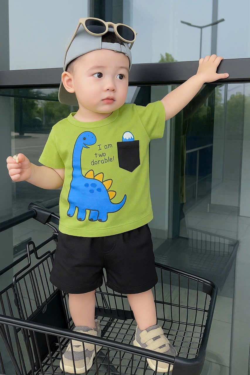 C85 - SET ÁO KHỦNG LONG XANH CỐM QUẦN ĐEN