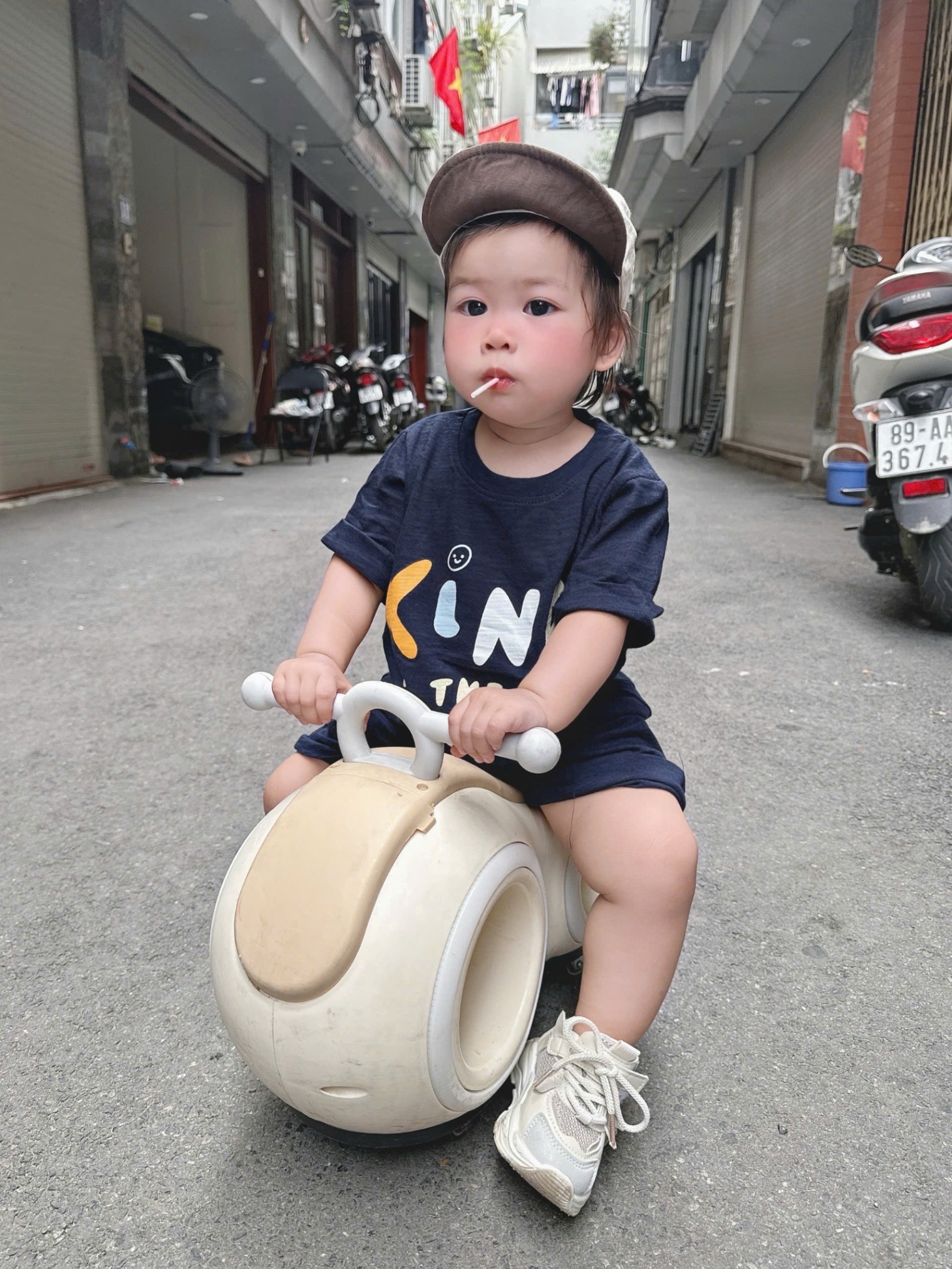 C313 - SET 2 BỘ KIND CÂY CỪA THAN BE