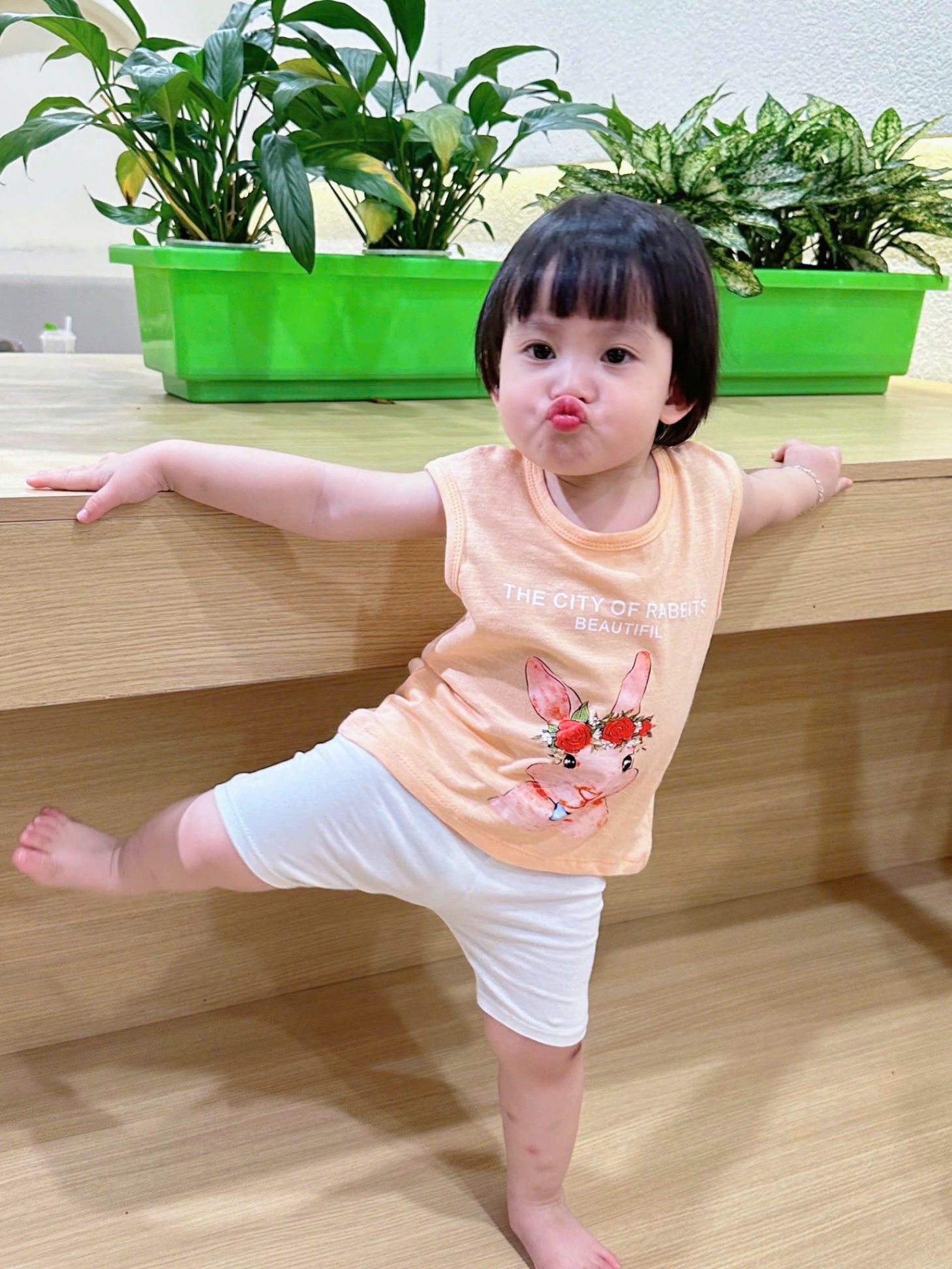 A184 - SET 4 ÁO XƯỚC THỎ CAM TRẮNG HỒNG TÍM