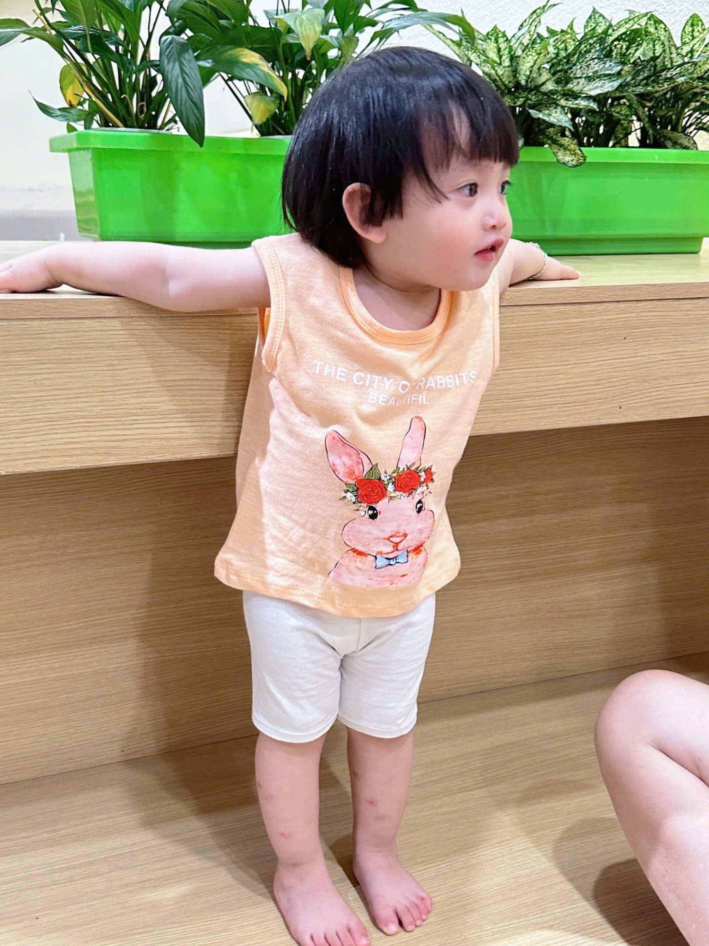 A184 - SET 4 ÁO XƯỚC THỎ CAM TRẮNG HỒNG TÍM