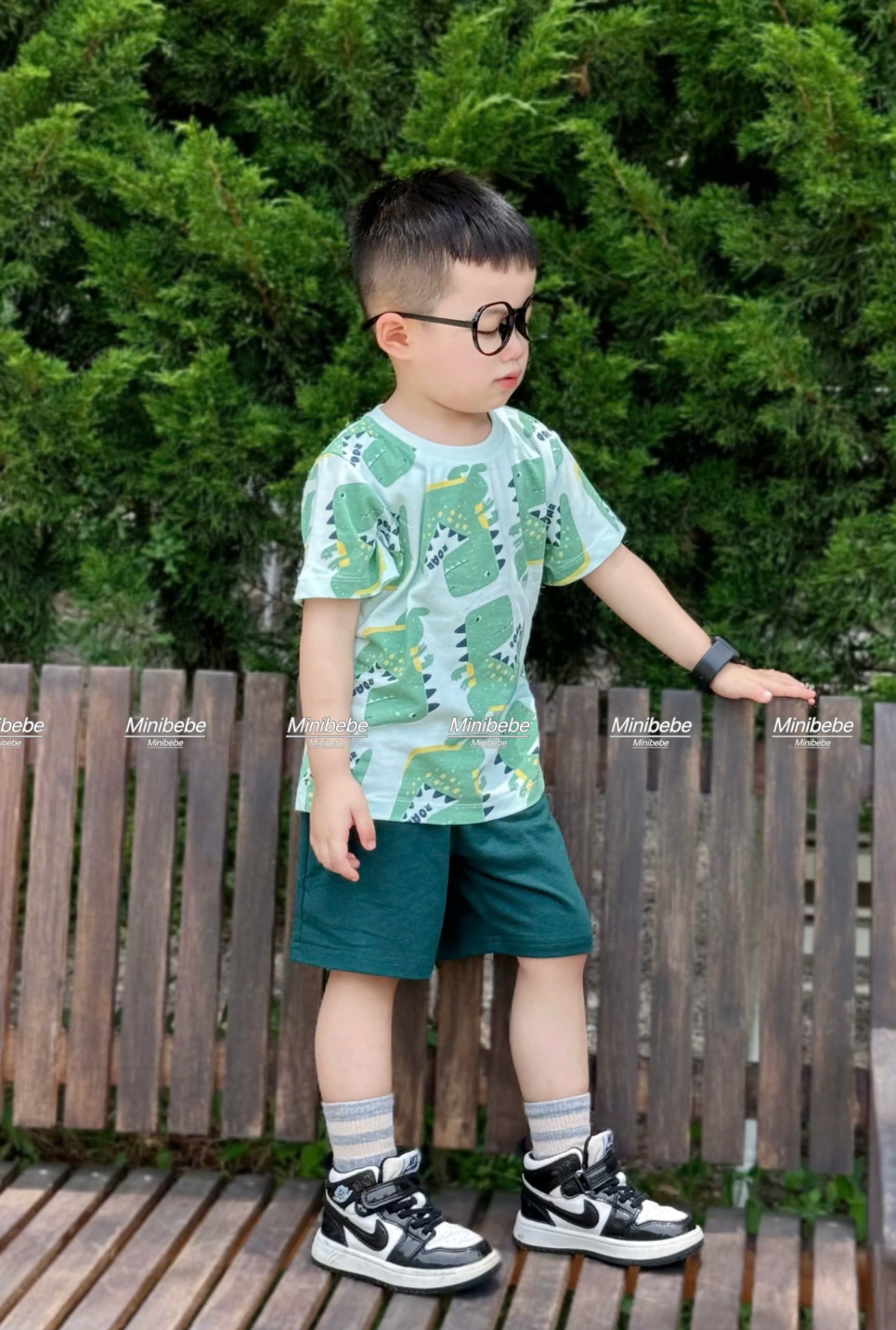 B116 - SET BỘ KHỦNG LONG XANH IN TRÀN ROAL