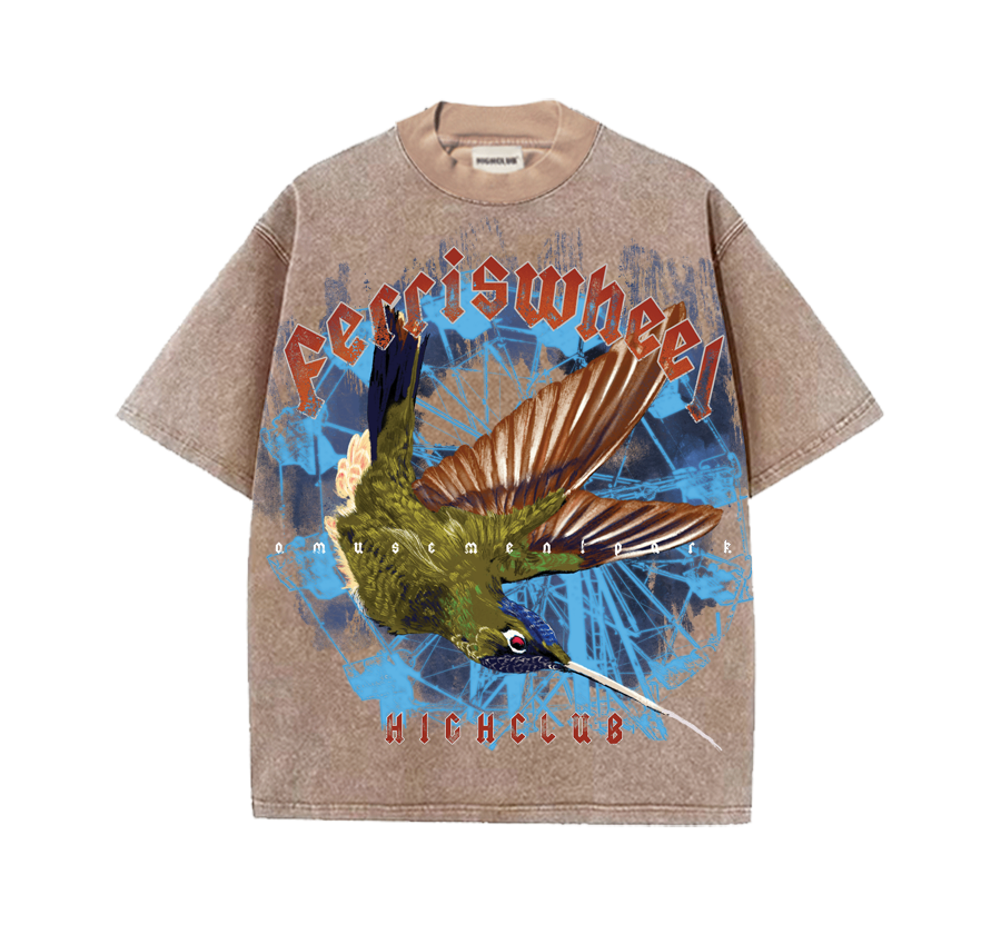 FERRISWHEELS WASH TEE
