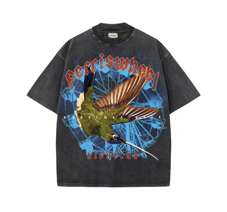 FERRISWHEELS WASH TEE