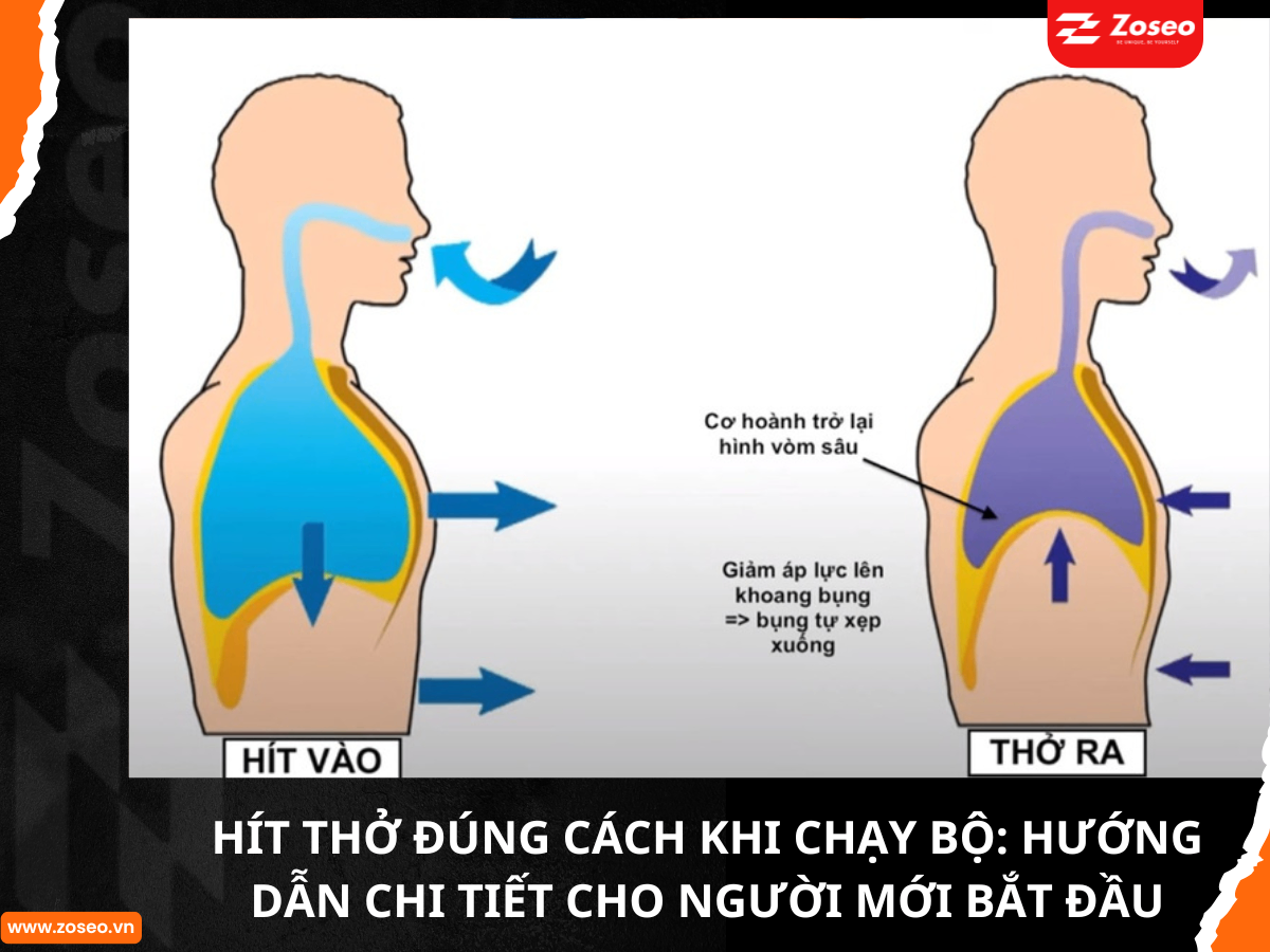 Hít Thở Đúng Cách Khi Chạy Bộ: Hướng Dẫn Chi Tiết cho Người Mới Bắt Đầu