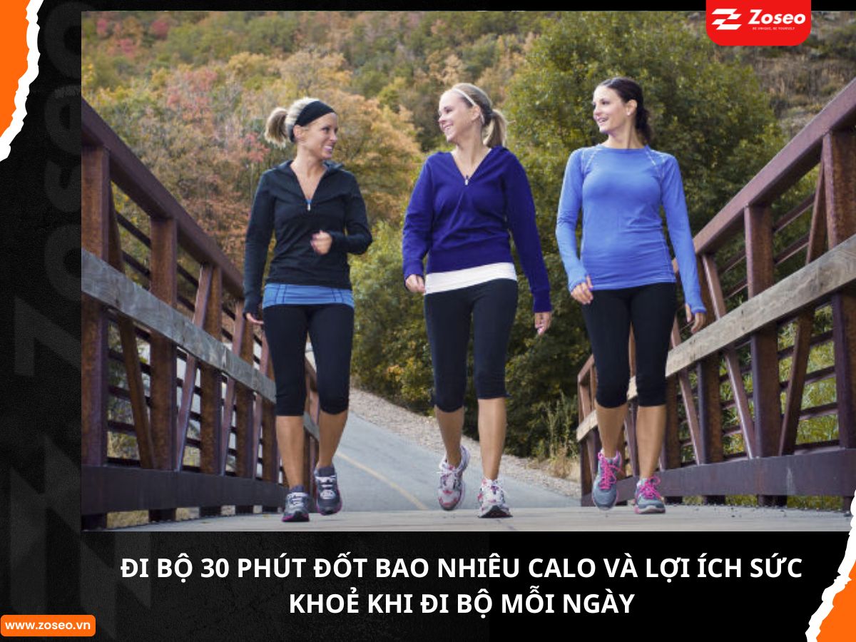 Đi bộ 30 phút đốt bao nhiêu calo và lợi ích sức khỏe khi đi bộ mỗi ngày