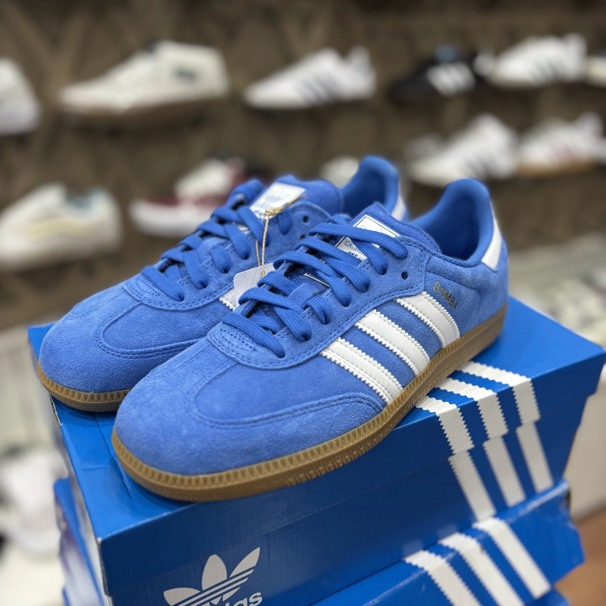 ADIDAS SAMBA ADV BLUE BIRD
