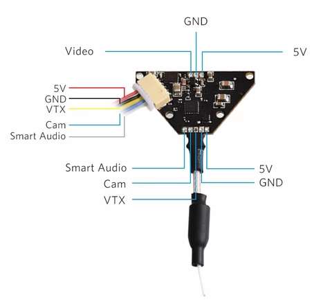 Z01 Vtx