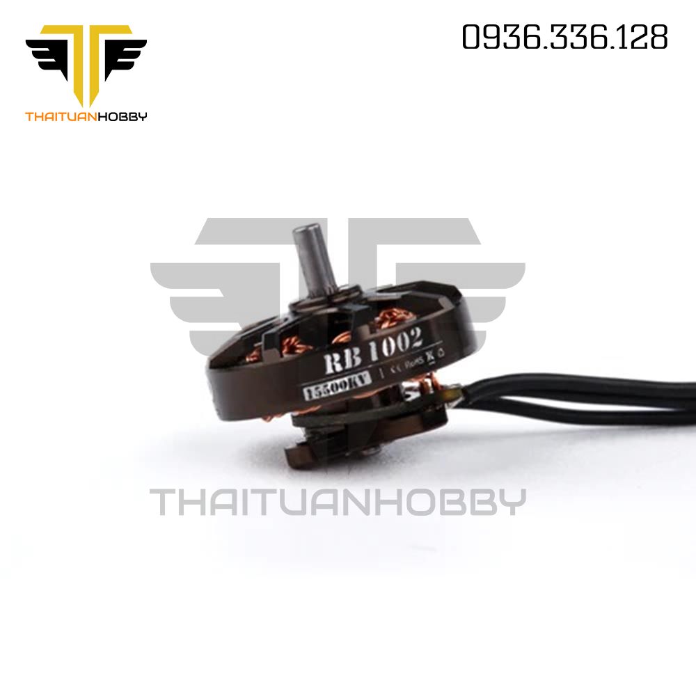 Động Cơ Flywoo ROBO 1002 15500KV