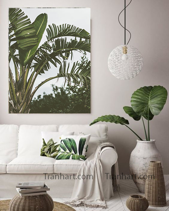 Tranh canvas ngọn chuối