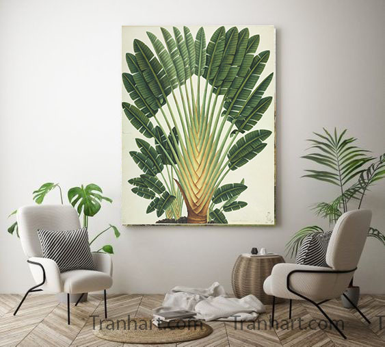 Tranh canvas chuối rừng