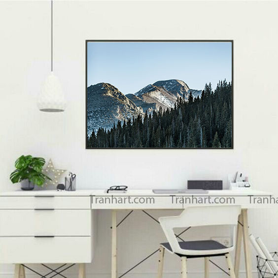 Tranh canvas rừng lá kim
