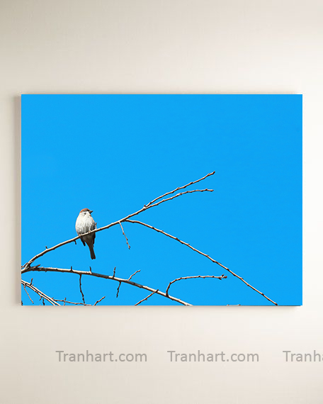 Tranh canvas lẻ loi V5