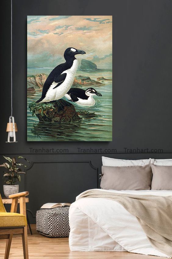 Tranh canvas chim alcidae - 30x42cm