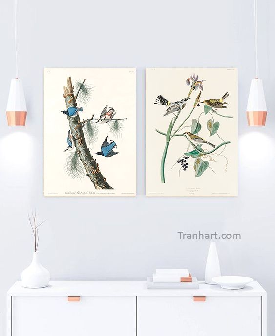 Bộ tranh canvas những chú chim C5 - 50x70cm
