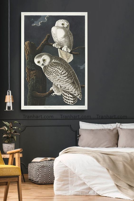 Tranh canvas chim cú mèo - 60x80cm