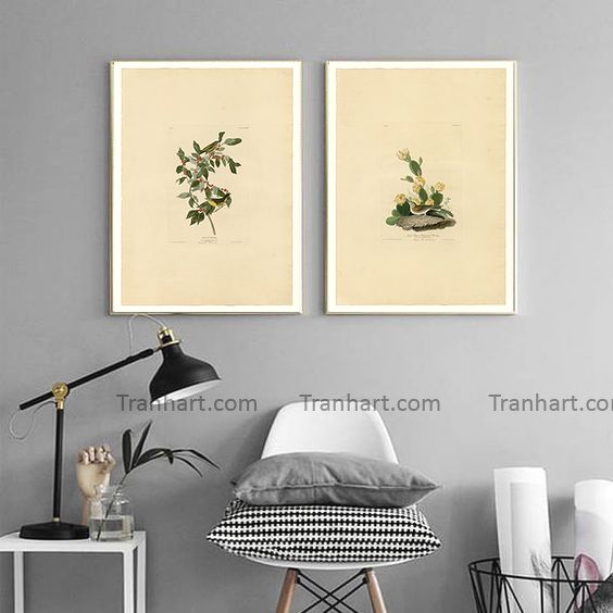 Bộ tranh canvas mầm sống - 50x70cm