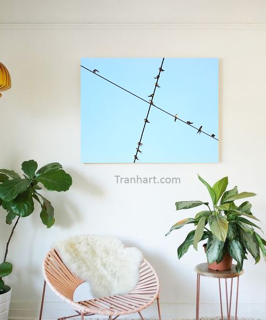 Tranh canvas những chú chim T1 - 40x60cm