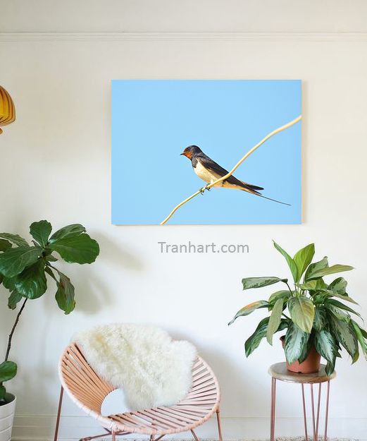 Tranh canvas lẻ loi - 40x60cm