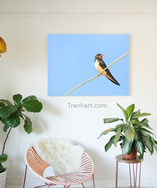 Tranh canvas lẻ loi 2 - 50x70cm