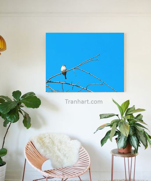 Tranh canvas lẻ loi 3 - 50x70cm