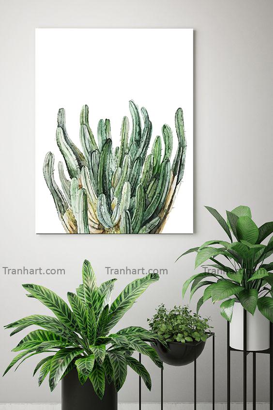 Tranh canvas cụm sương rồng - 40x60cm