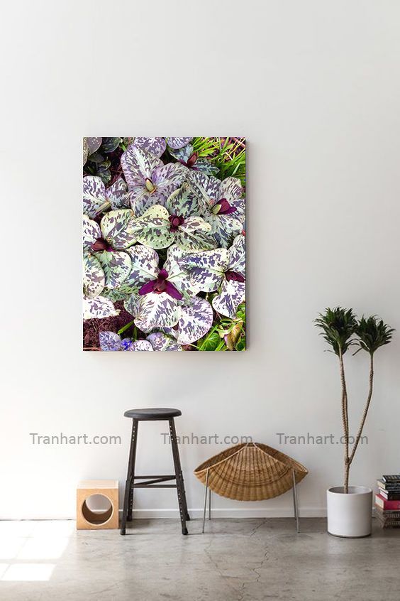 Tranh canvas hoa lá H1 - 50x70cm