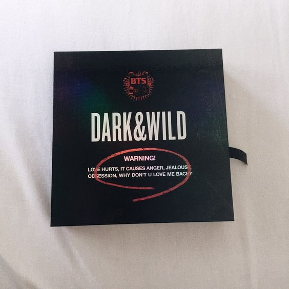 Album BTS - DARK & WILD