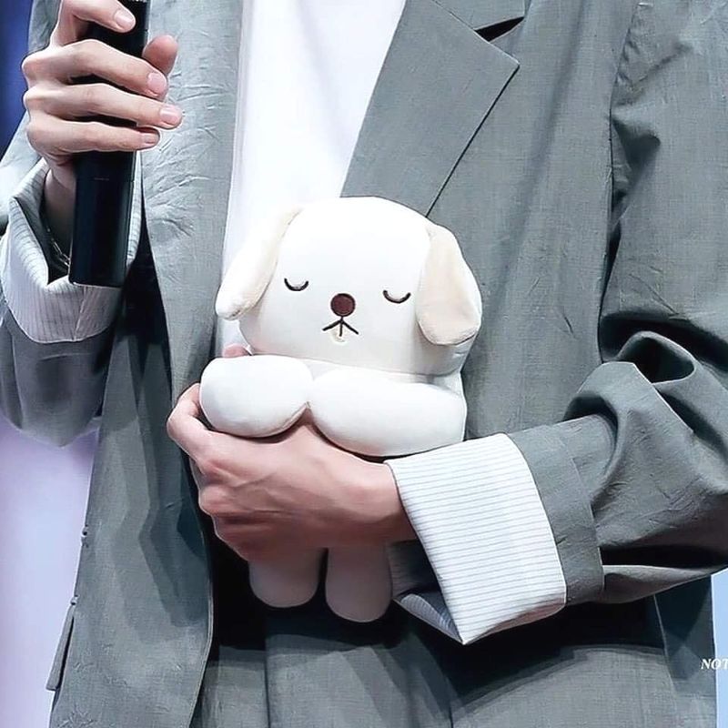 MINI ONGNABLE